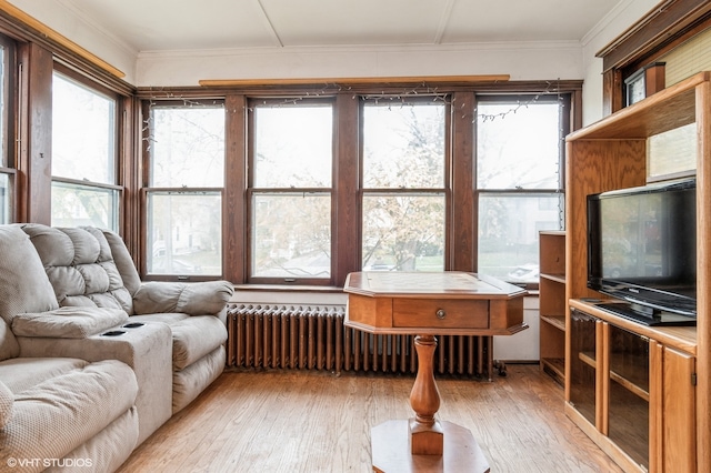 sunroom / solarium featuring radiator heating unit and a healthy amount of sunlight