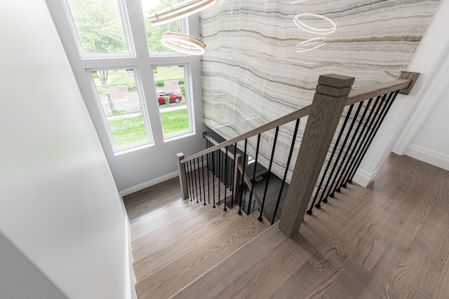 staircase with hardwood / wood-style flooring