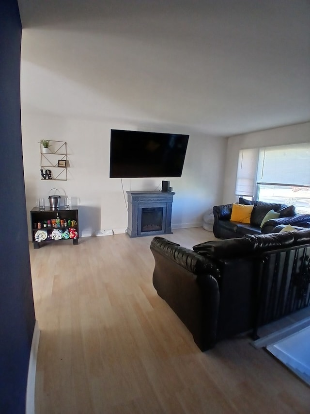 living room featuring wood-type flooring