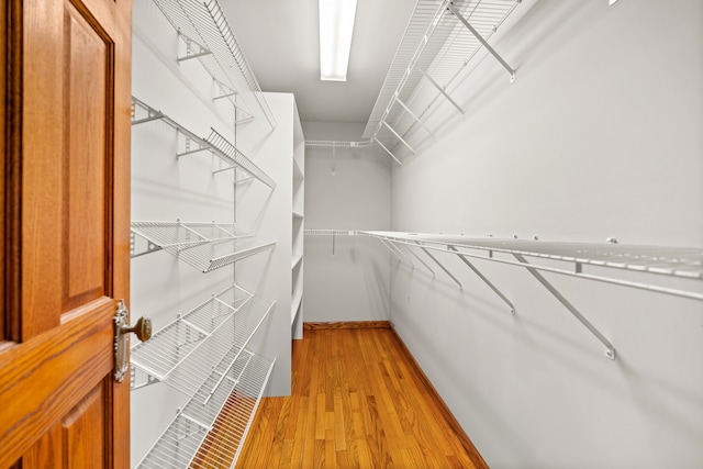 walk in closet featuring light hardwood / wood-style floors