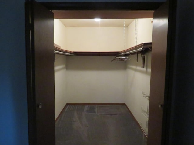 view of walk in closet