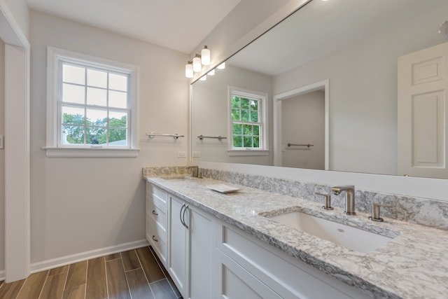 bathroom with hardwood / wood-style flooring, vanity, and a healthy amount of sunlight