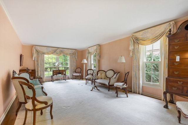 sitting room featuring light carpet and crown molding