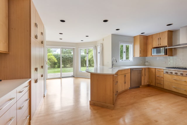 kitchen featuring backsplash, appliances with stainless steel finishes, sink, light hardwood / wood-style floors, and kitchen peninsula