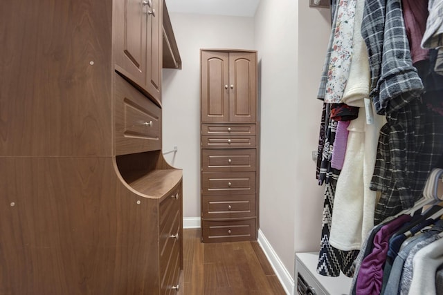 spacious closet featuring dark wood finished floors