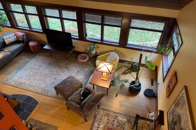 living room featuring hardwood / wood-style flooring