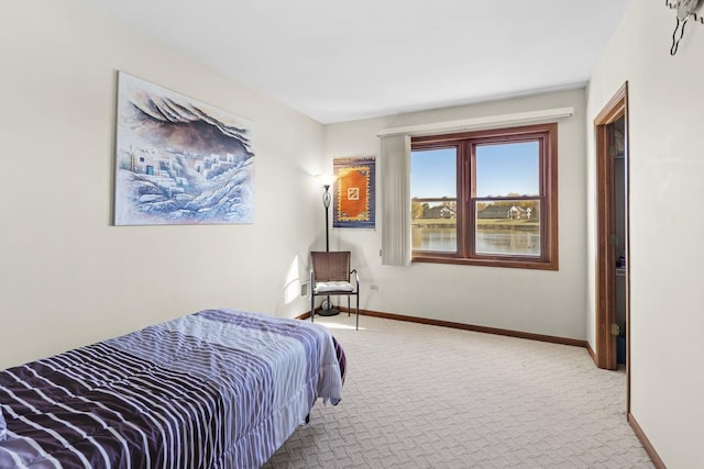 2708 Lake Shore Dr Unit 1, Joliet, IL 60431 - carpeted bedroom with baseboards