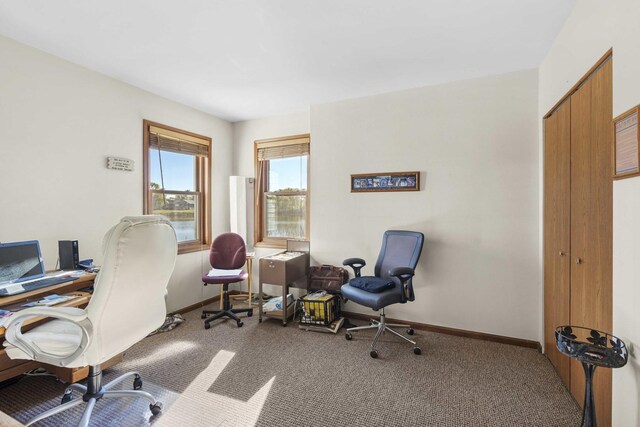 2708 Lake Shore Dr Unit 1, Joliet, IL 60431 - office area featuring carpet flooring and baseboards