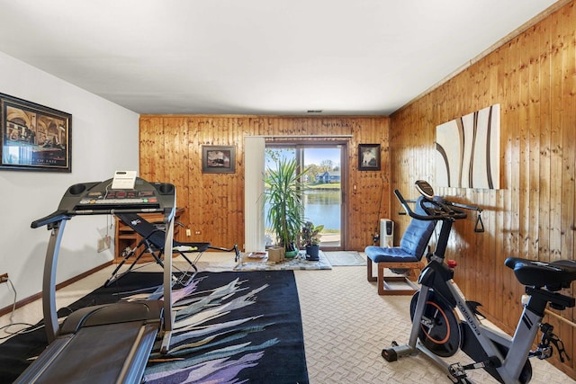 2708 Lake Shore Dr Unit 1, Joliet, IL 60431 - workout room featuring wooden walls and carpet flooring