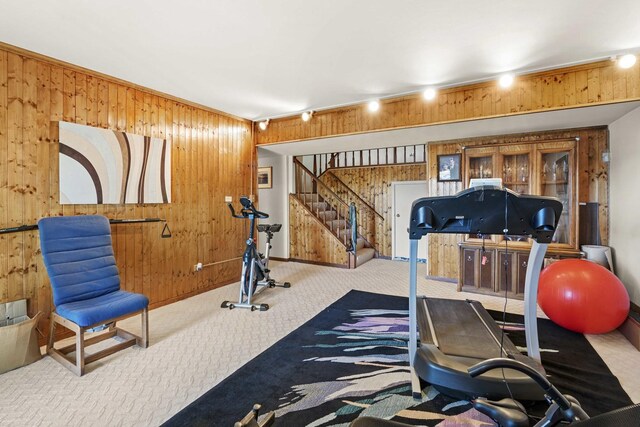 2708 Lake Shore Dr Unit 1, Joliet, IL 60431 - workout area featuring wood walls and carpet floors