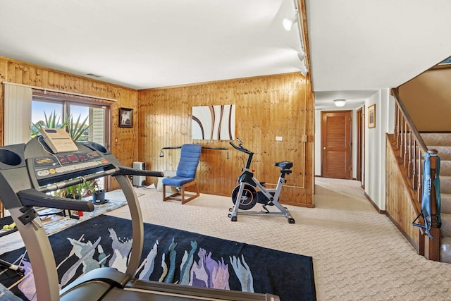 2708 Lake Shore Dr Unit 1, Joliet, IL 60431 - workout area featuring carpet and wooden walls