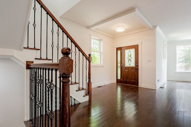 entrance foyer with ornamental molding, plenty of natural light, and dark wood-type flooring