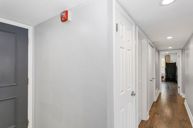 hallway featuring dark wood-type flooring