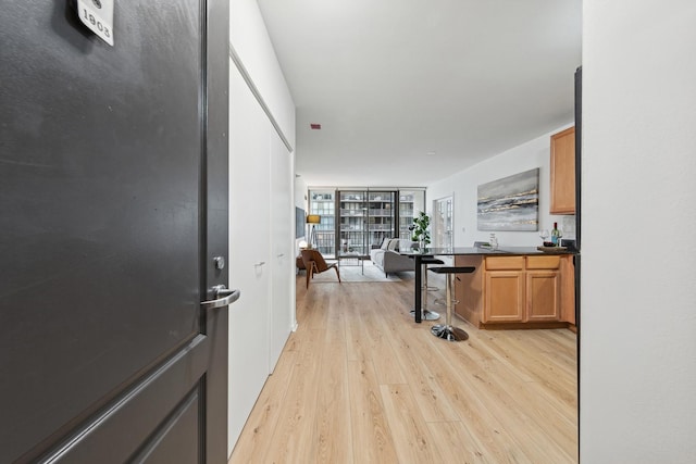 kitchen featuring light hardwood / wood-style floors and a wall of windows