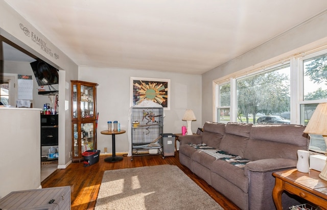 living room featuring dark hardwood / wood-style floors