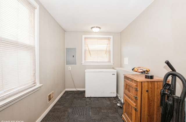 washroom featuring electric panel and dark carpet