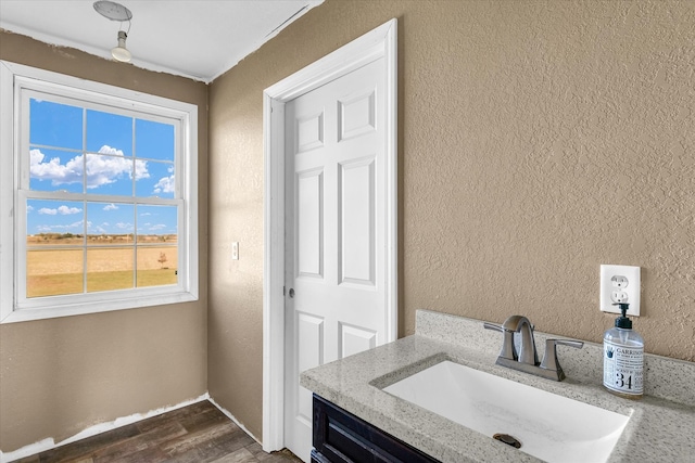 bathroom featuring hardwood / wood-style flooring and sink