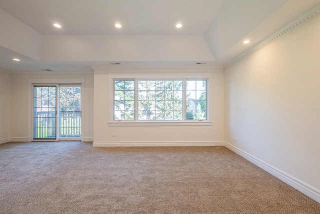 carpeted spare room with ornamental molding, a tray ceiling, and a healthy amount of sunlight