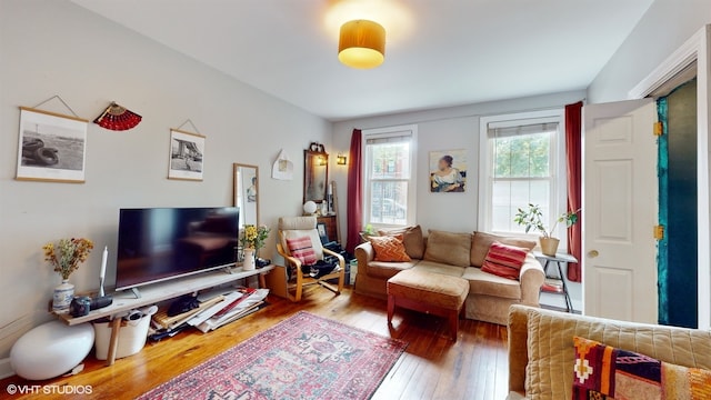 living room with hardwood / wood-style flooring