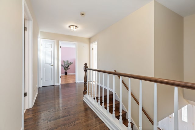 corridor featuring dark hardwood / wood-style floors