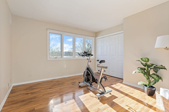 exercise area featuring hardwood / wood-style flooring