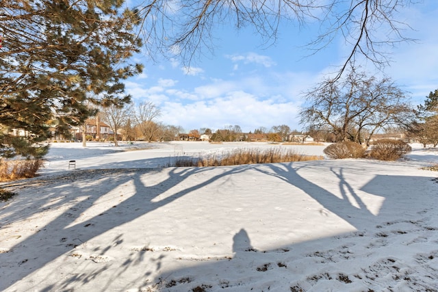 view of snowy yard