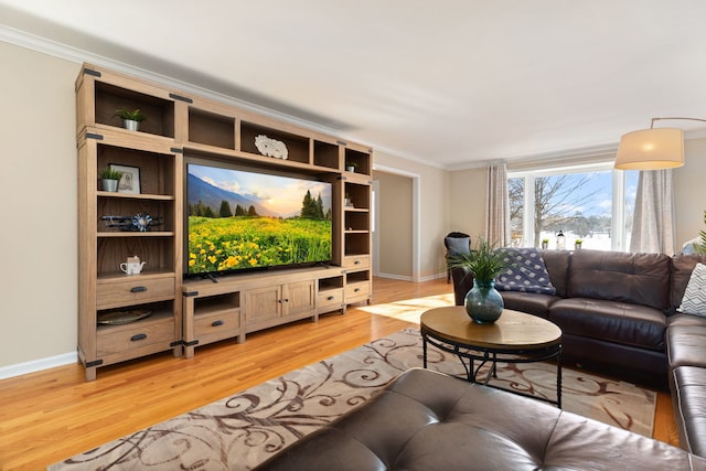 living room with light hardwood / wood-style flooring and crown molding