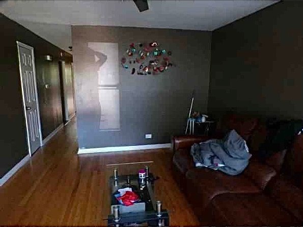 living room featuring hardwood / wood-style flooring