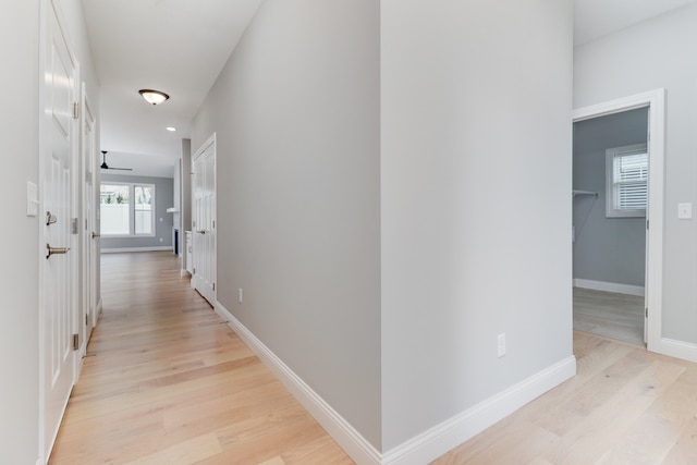 hall featuring light hardwood / wood-style floors