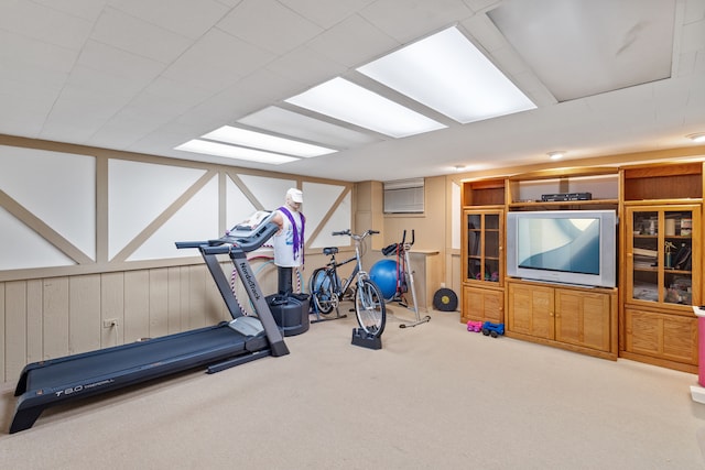 workout room with carpet floors