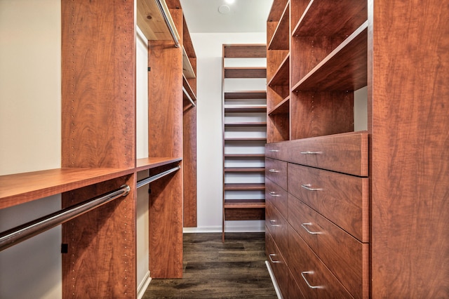 walk in closet with dark hardwood / wood-style floors