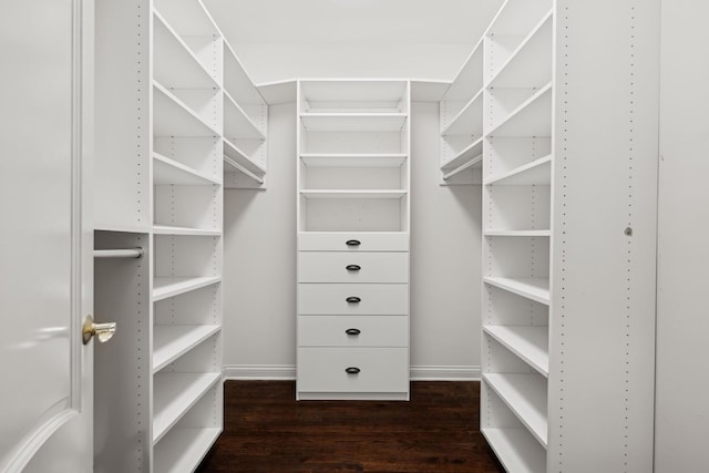 spacious closet with dark hardwood / wood-style floors