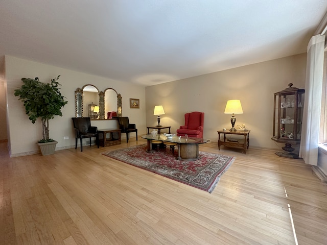 living room with light wood-type flooring