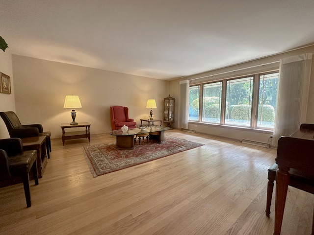 living room featuring light wood-type flooring