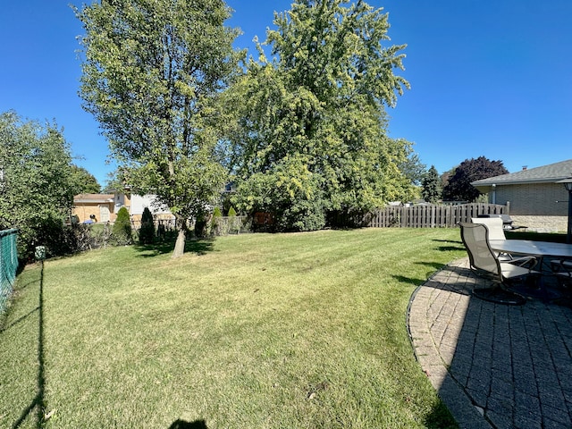 view of yard featuring a patio area