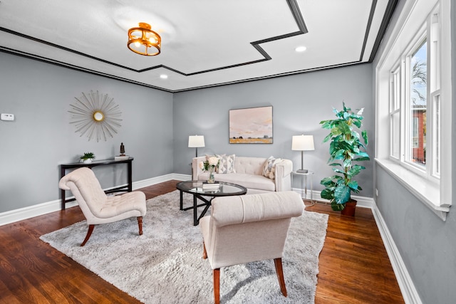 living room with dark hardwood / wood-style flooring