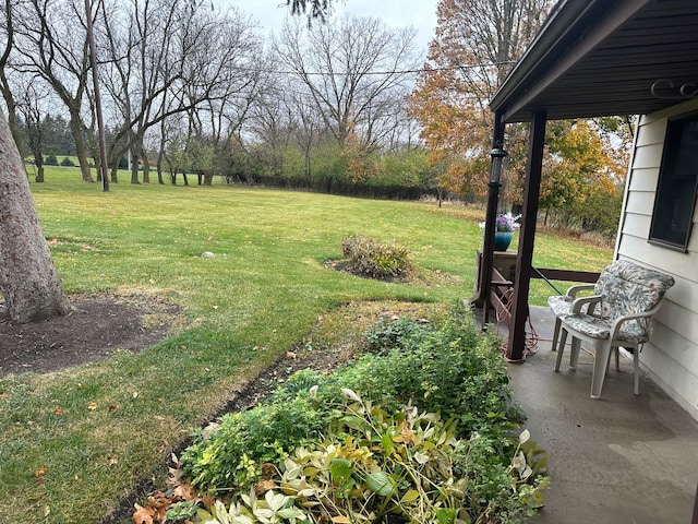 view of yard featuring a patio area