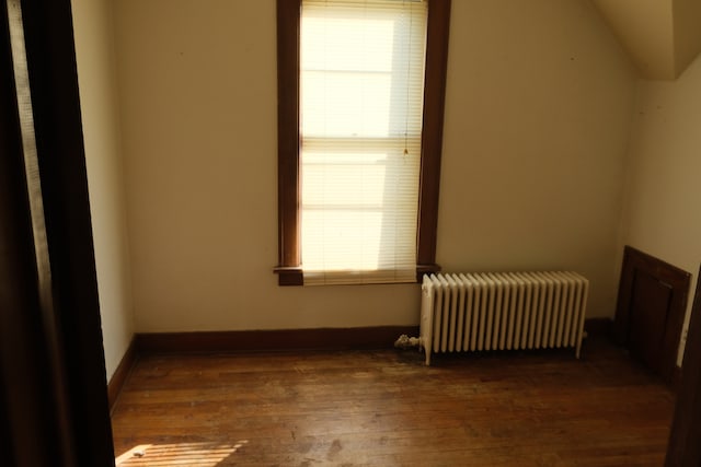 spare room featuring dark hardwood / wood-style flooring, a healthy amount of sunlight, and radiator