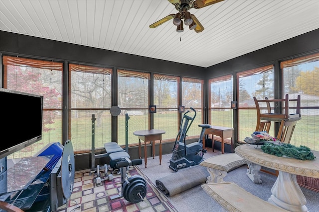 sunroom / solarium featuring ceiling fan and a healthy amount of sunlight