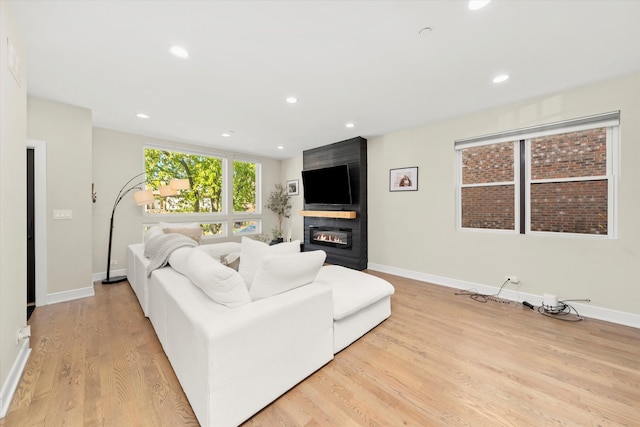 living room featuring a fireplace and light hardwood / wood-style floors