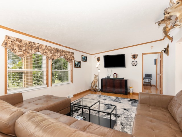 living room with hardwood / wood-style floors and crown molding