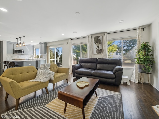 living room featuring dark hardwood / wood-style flooring