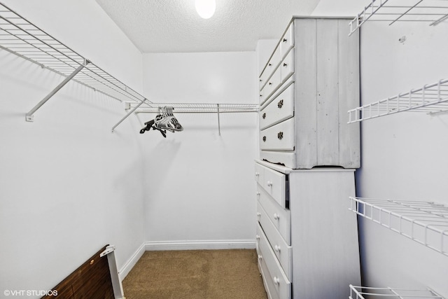 474 N Lake Shore Dr Unit 3303, Chicago, IL 60611 - walk in closet featuring carpet