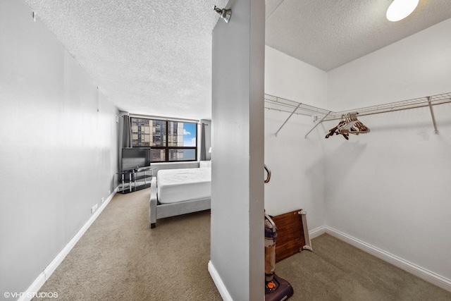 474 N Lake Shore Dr Unit 3303, Chicago, IL 60611 - spacious closet with carpet floors