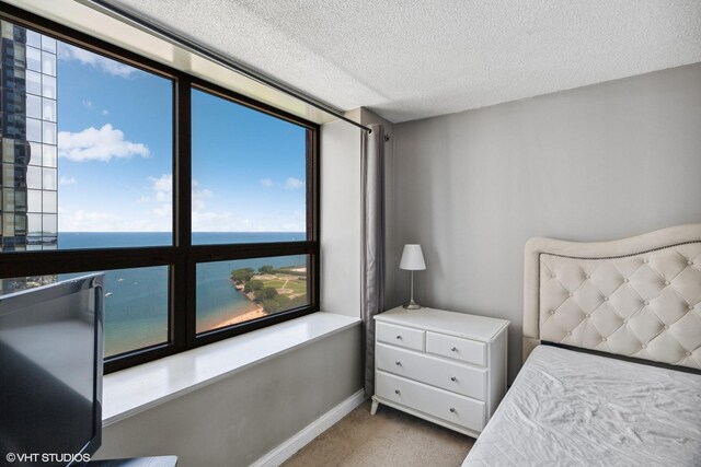 474 N Lake Shore Dr Unit 3303, Chicago, IL 60611 - carpeted bedroom featuring a textured ceiling and baseboards