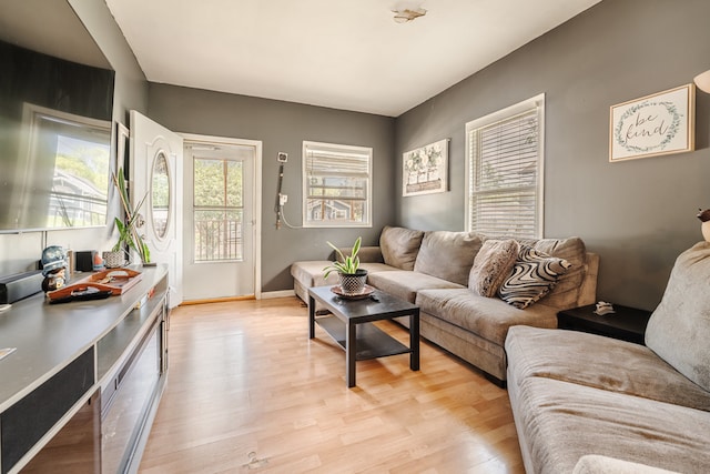 living room with light wood-type flooring