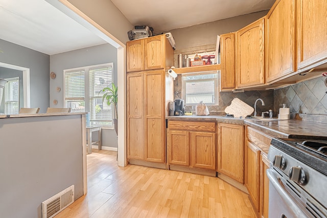 kitchen featuring a healthy amount of sunlight, stainless steel electric range oven, light hardwood / wood-style flooring, and sink