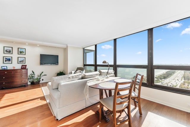 living room featuring a wealth of natural light and hardwood / wood-style floors