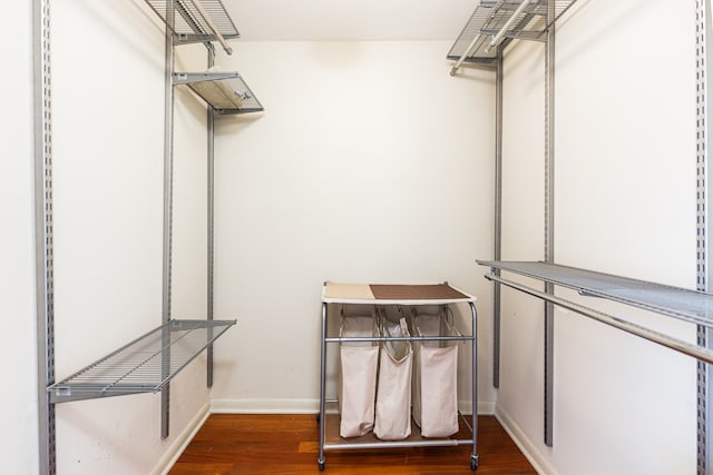 walk in closet featuring dark hardwood / wood-style flooring