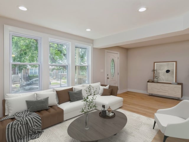 living room featuring hardwood / wood-style flooring